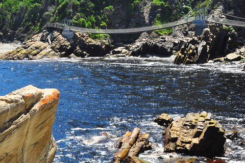 Von Kapstadt aus: 5-tägige Best of Garden Route und Addo SafariTour mit geteiltem Schlafsaal in einer Backpacker-Unterkunft