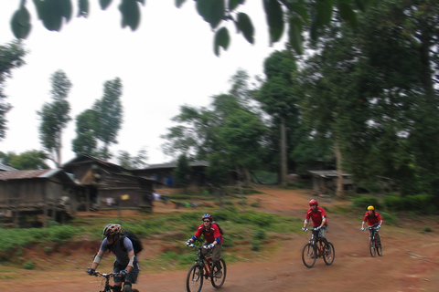 Chiang Mai: 20km Downhill Mountain Biking Challenge Suthep M