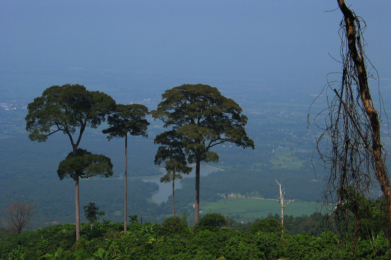 Chiang Mai: 20km Downhill Mountain Biking Challenge Suthep M