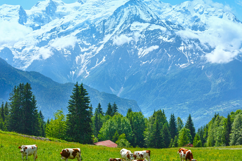 From Geneva: Chamonix Mont-Blanc Private Day Trip Chamonix Private Excursion - Standard Package