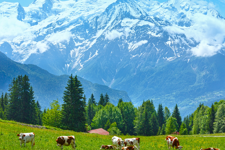 From Geneva: Chamonix Mont-Blanc Private Day Trip Chamonix Private Excursion - Standard Package
