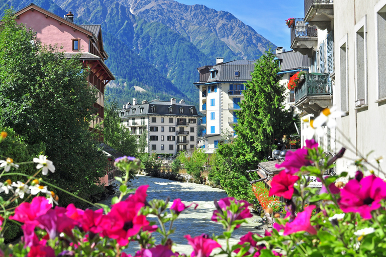 From Geneva: Chamonix Mont-Blanc Private Day Trip Chamonix Private Excursion - Standard Package