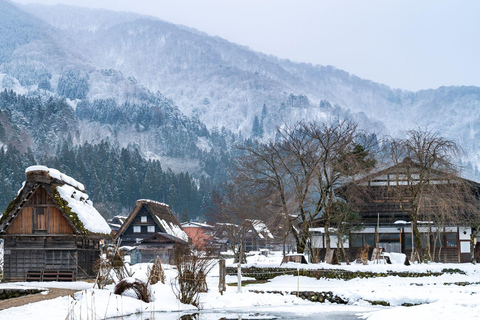 Ginzan Onsen &Zao Snow Monsters Winter 2-Day Tour From Tokyo Tokyo Station