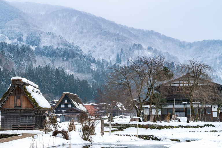 Ginzan Onsen &Zao Snow Monsters Winter 2-Day Tour From Tokyo Tokyo Station