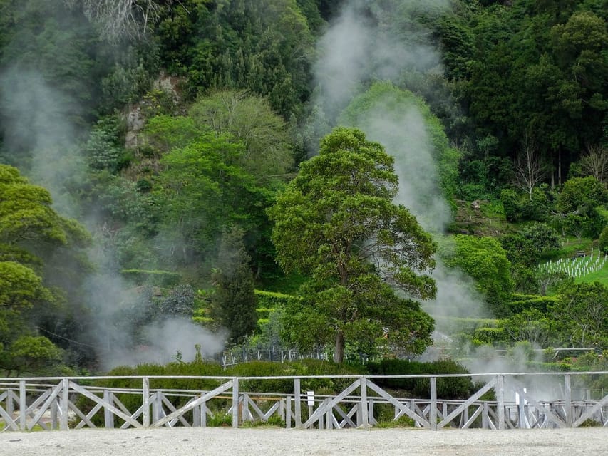 Excursión de un día a Furnas, Termas y Plantación de Té con Almuerzo - Hizvo