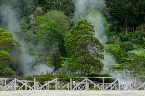 Furnas: Tour di un giorno delle sorgenti termali e della piantagione di tè con pranzoFurnas: tour di un giorno alle sorgenti termali e alla piantagione di tè con pranzo