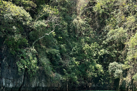 Krabi: Phi Phi-öarna och Mayabukten - Följ med på tur med motorbåtUpphämtning och avlämning: Krabi stad, Klong Muang, Tubkaek-stranden