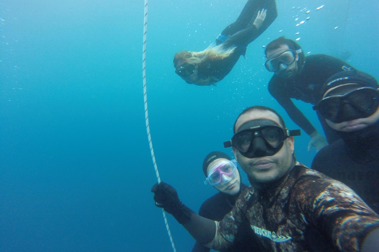 Tenerife: Journée complète de découverte de la plongée libre