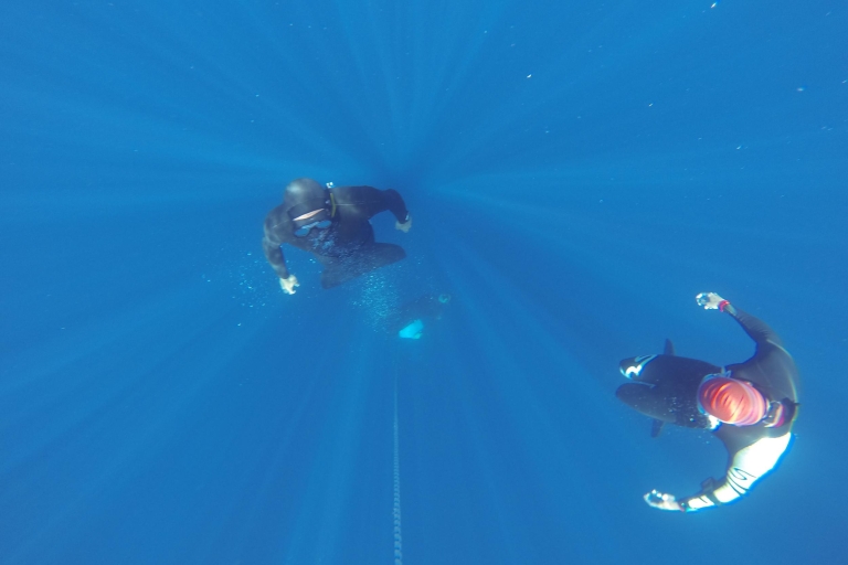 Teneryfa: cały dzień odkrywania Freedivingu