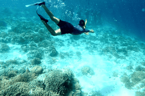 Watersports Port Vila: Triple Reef Snorkeling Adventure Port Vila: Triple Reef Snorkeling Adventure