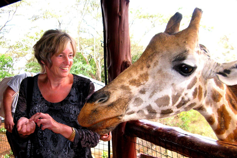 Excursión al Parque Nacional de Nairobi, Centro de la Jirafa y Bomas de Kenia