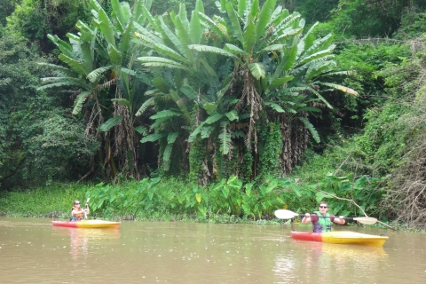 Desde Chiang Mai: Bosque de Mae Taeng Full Day Day Kayaking