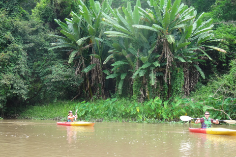 Desde Chiang Mai: Bosque de Mae Taeng Full Day Day Kayaking