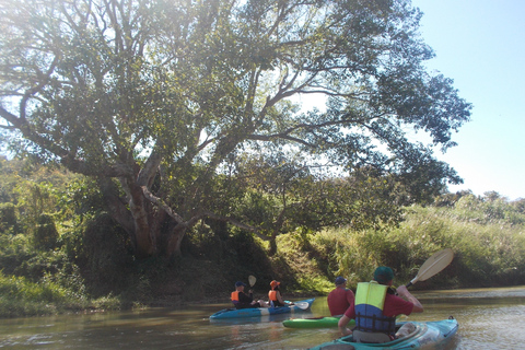 Van Chiang Mai: Mae Taeng Forest Full-Day River Kayaking