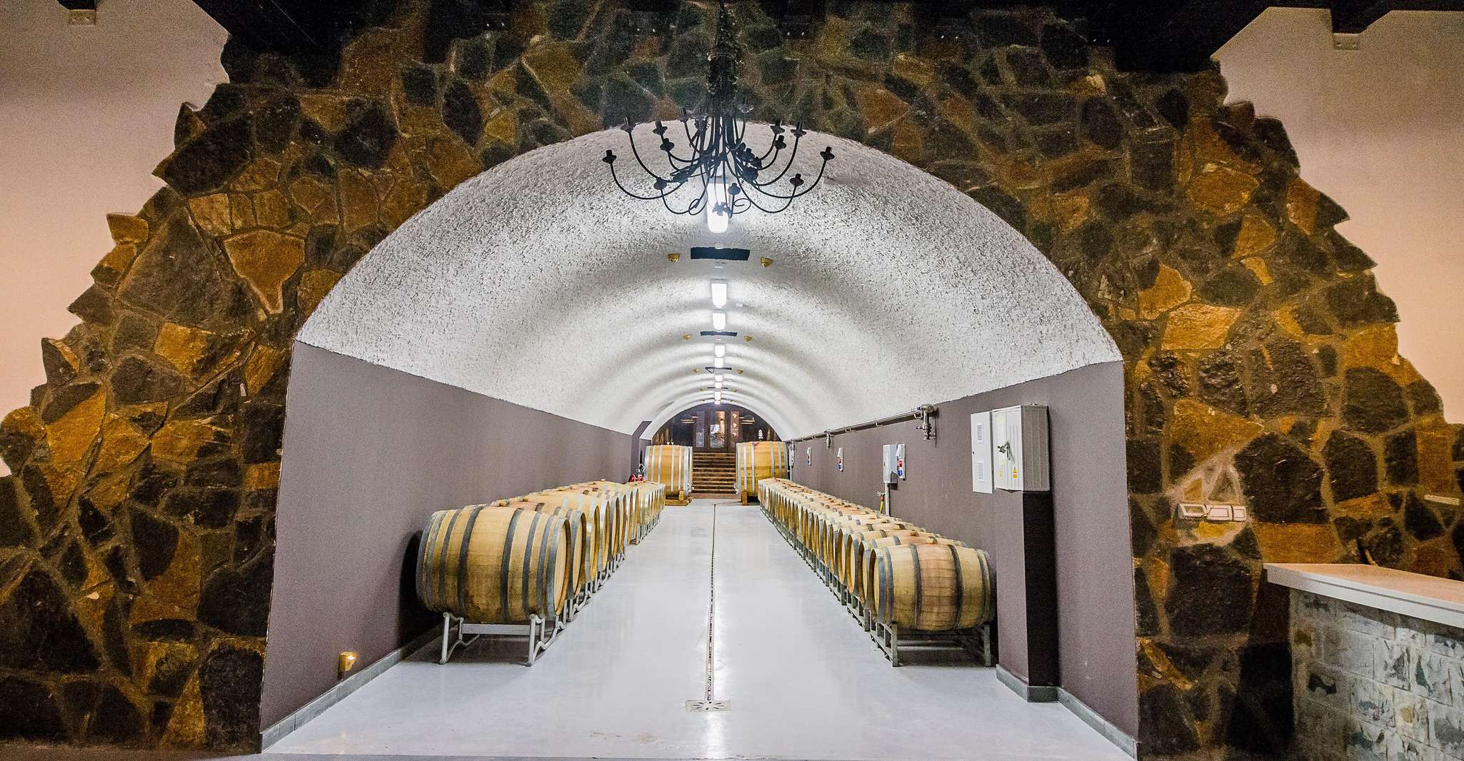 Winery Tour and Tasting at Winery Lipovac - Housity