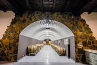 Winery Tour and Tasting at Winery Lipovac - Housity
