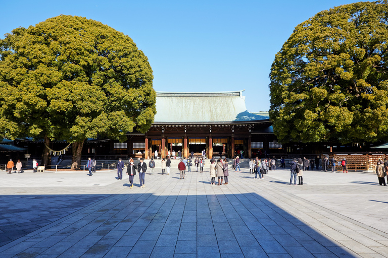 Tokyo : visite guidée en bus le matinVisite de Matsuya Ginza