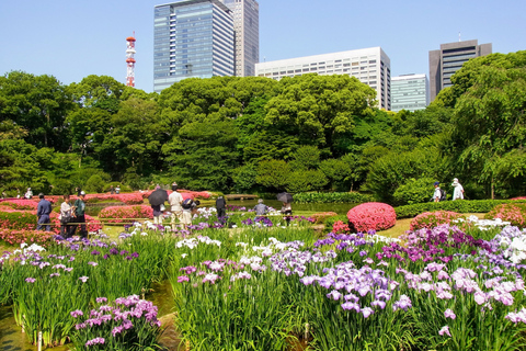 Tokyo: Tour panoramico mattutino in autobusTour da Matsuya Ginza