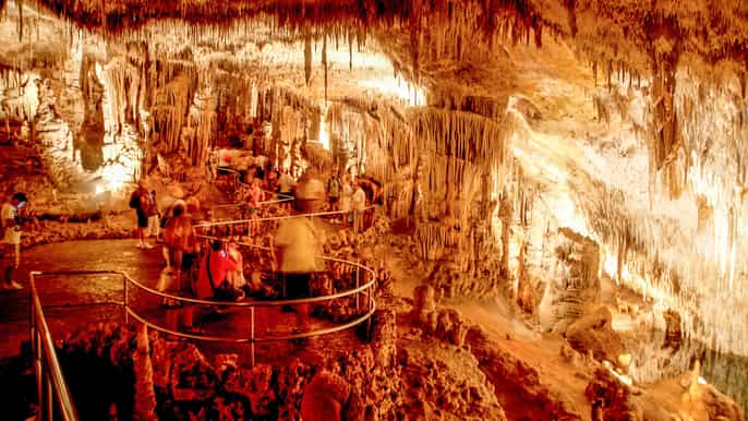 Mallorca: Caves of Drach Day Trip & Optional Caves of Hams