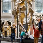 Berlino: Biglietto d'ingresso per il Museo di Storia Naturale