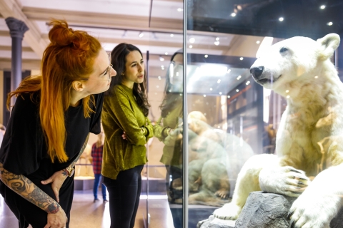 Berlin : billet d'entrée au musée d'histoire naturelle