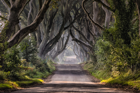 Belfast: Game Of Thrones-tour en 2-daags hop on, hop off-ticket