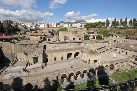 Jednodniowa wycieczka do ruin Herkulanum z Neapolu