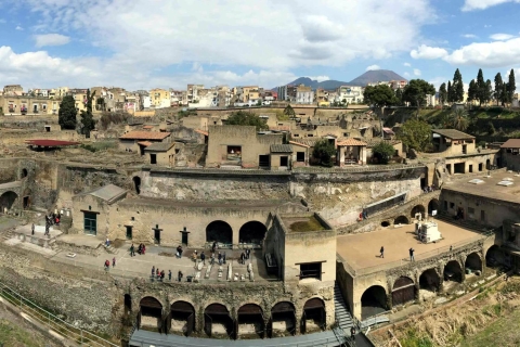 Jednodniowa wycieczka do ruin Herkulanum z Neapolu