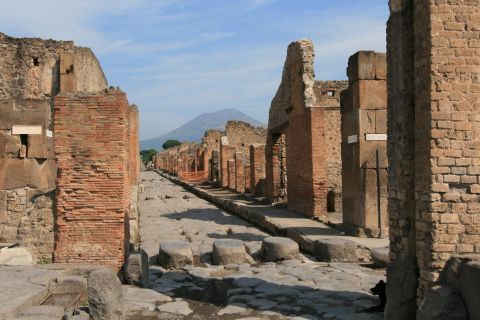From Naples: Day Trip to Pompeii