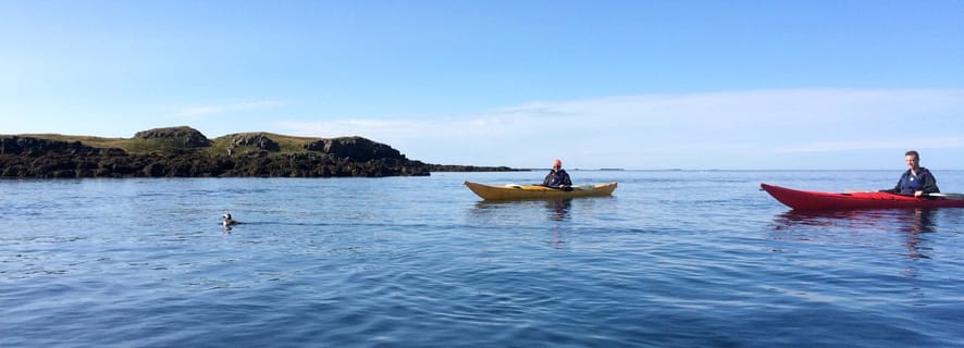 Stykkishólmur: passeio de caiaque marítimo de 2 horas