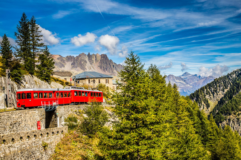 From Geneva: Chamonix Mont-Blanc Private Day Trip Chamonix Private Excursion - Standard Package