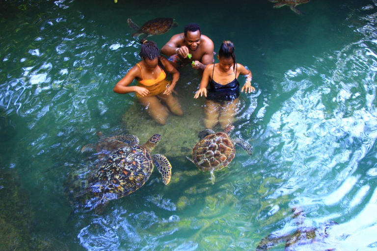 Joazani-bos en Salam-grot met entreegeld