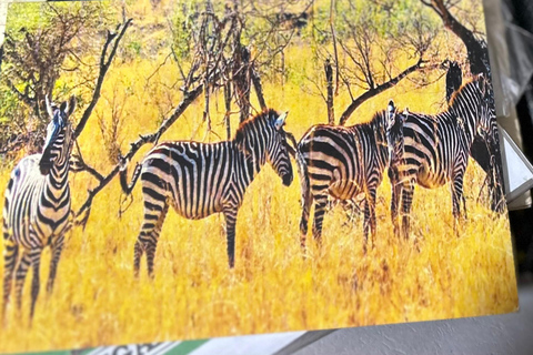 Kampala: Postcard-Making Workshop with Expert