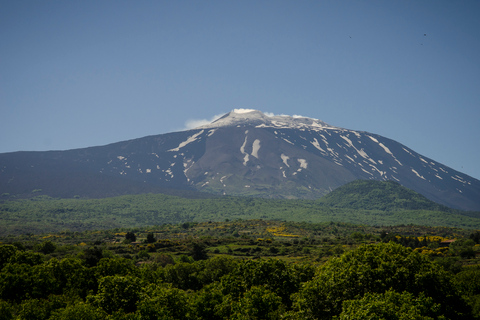 Da Taormina: Tour di un giorno dei crateri superiori dell&#039;EtnaDa Taormina: tour di un giorno ai crateri sommitali dell&#039;Etna