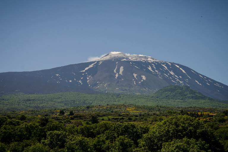 From Taormina: Etna Upper Craters Day Tour