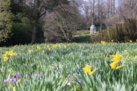 Hillsborough Castle Gardens Entrance Ticket - Housity
