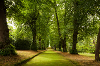 Hillsborough Castle Gardens Entrance Ticket - Housity