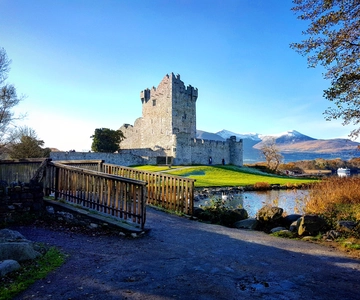 Killarney: Jaunting Car & Lake Cruise Tour