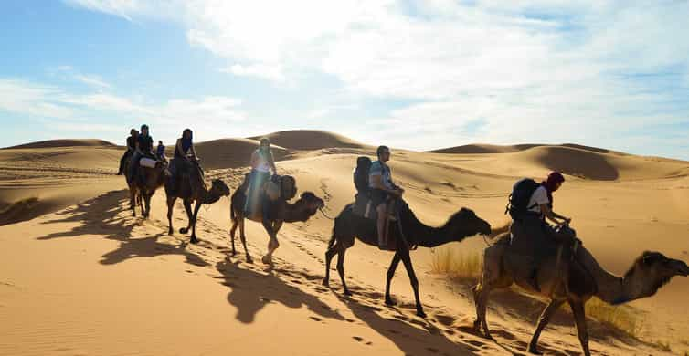 Marrakech 2022: Top 10 Tours & Activities (with Photos) - Things to Do ...