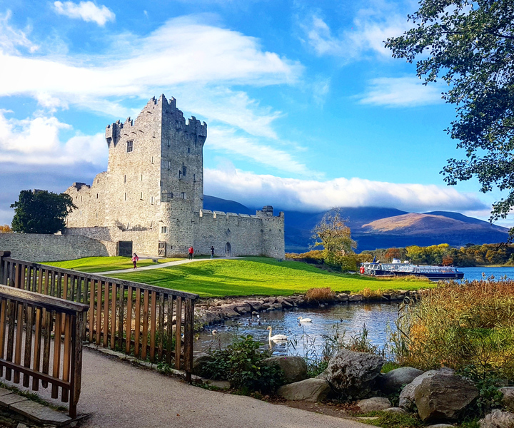 Killarney on Horse & Carriage: 1-Hour Jaunting Car Tour