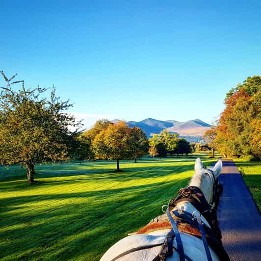 Killarney on Horse & Carriage 1Hour Jaunting Car Tour GetYourGuide