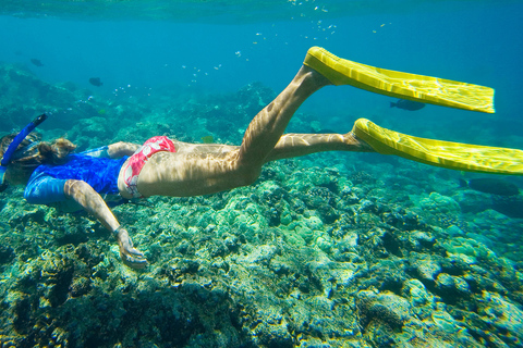 Florida Keys: journée en kayak et plongée en apnée au Snorkel