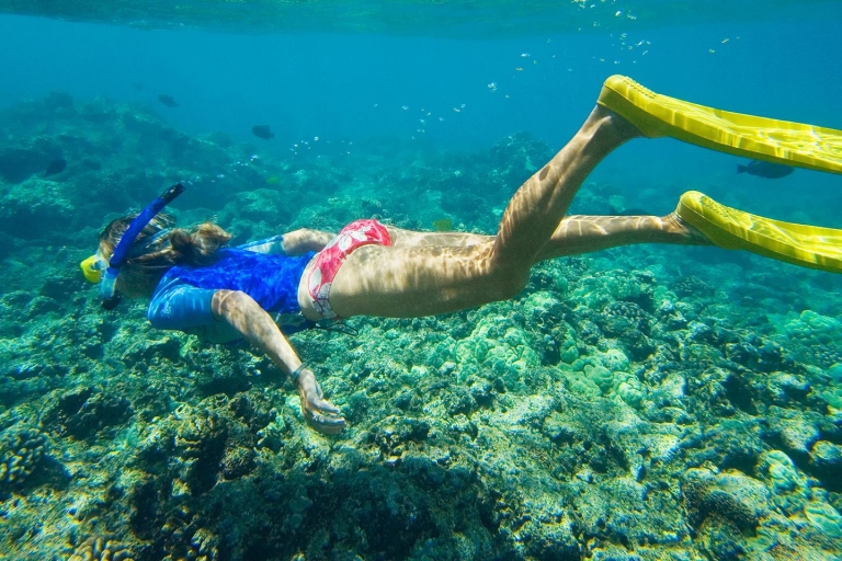 Florida Keys: Full-Day Kayak i Snorkel Reef Adventure