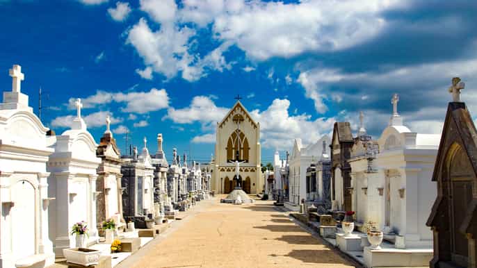 new orleans 3–hour private custom experience