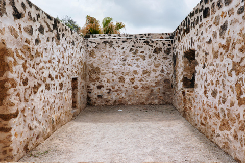 San Antonio Missions Discovery Tour 3.5 Hours