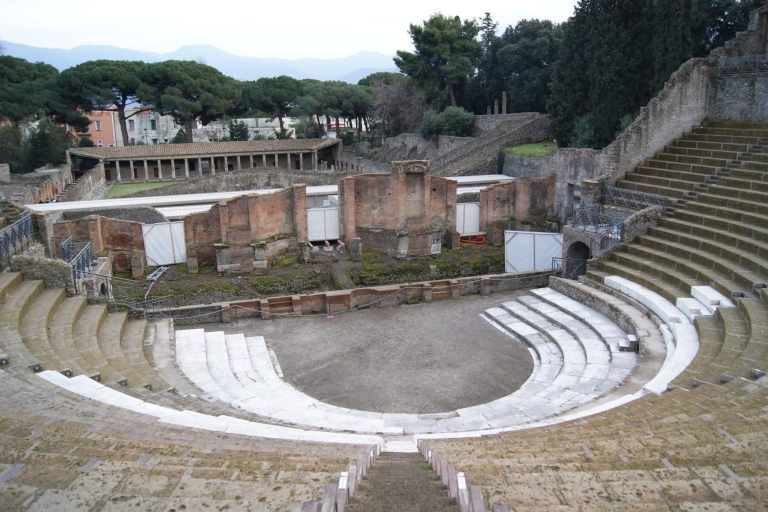 Pompeya y el Vesubio: tour 1 día en miniván grupo reducidoPompeya y Vesubio desde Nápoles