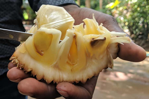 Sansibar: Tour durch Stone Town, Gewürzfarm und Kochkurs