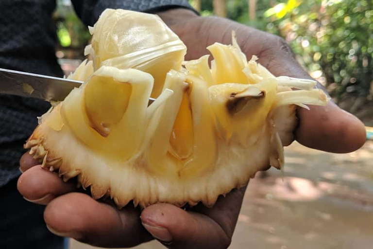 Zanzibar: Stone Town Tour, Spice Farm & Cooking Class