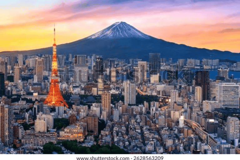 From Tokyo: Tokyo Full Day Private Sightseeing City Tour Tokyo Full Day Private Customize Tour