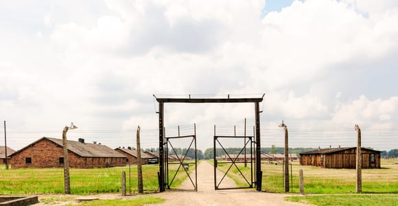 From Krakow: Auschwitz-Birkenau Tour with Transportation